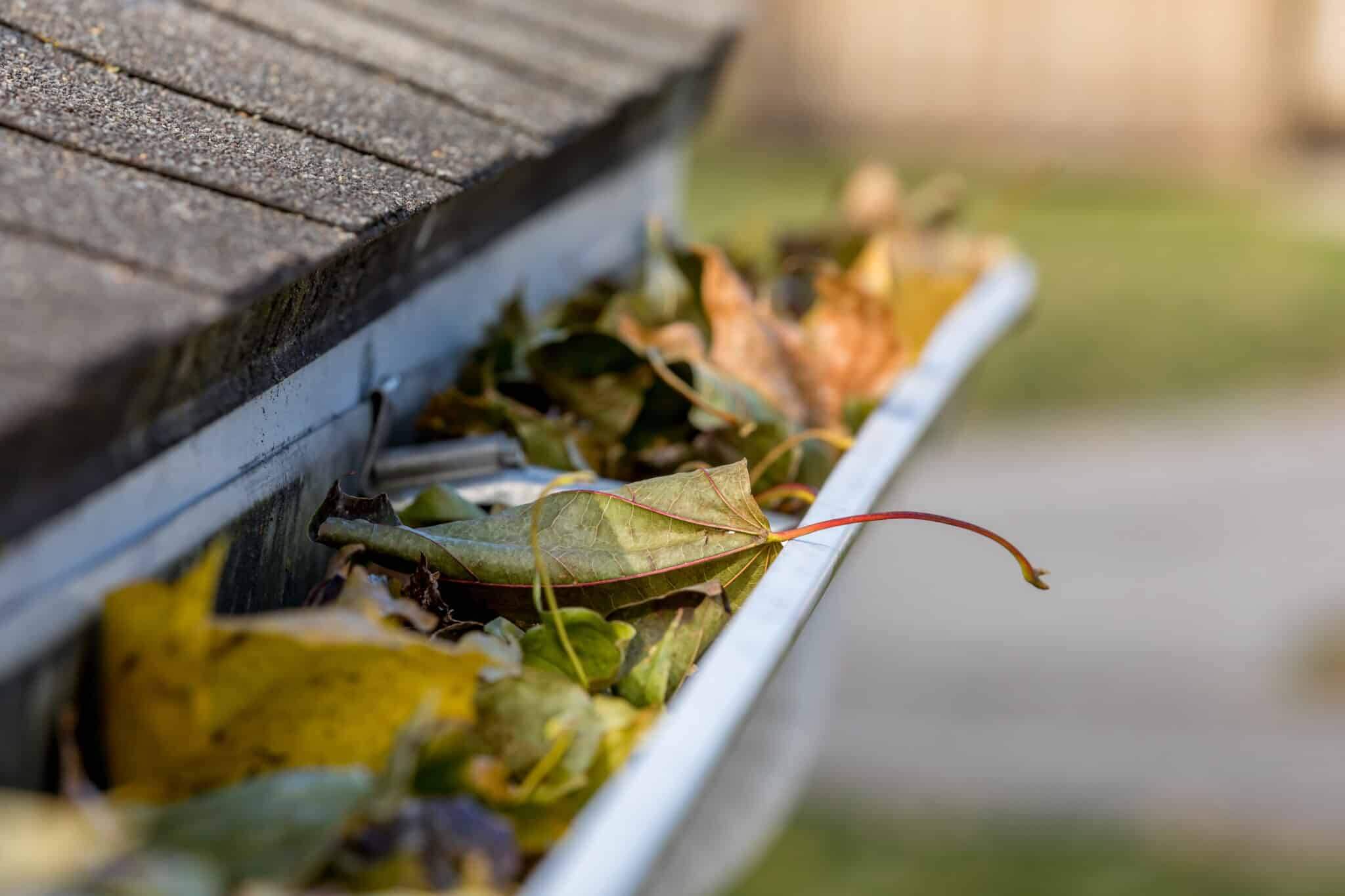 Closeup of house rain gutter clogged with colorful leaves fall from trees in fall Concept of home maintenance and repair